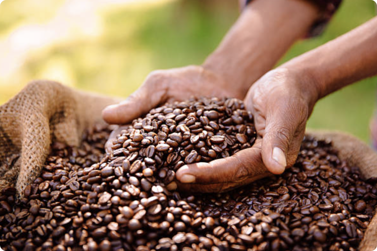 comprando café de Ethic Hub