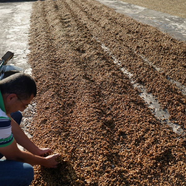 Finca Tres Milagros en Costa Rica