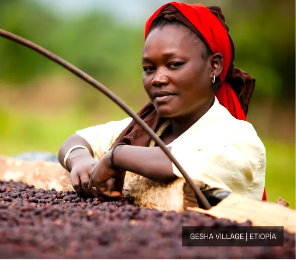 gesha village ethiopia café
