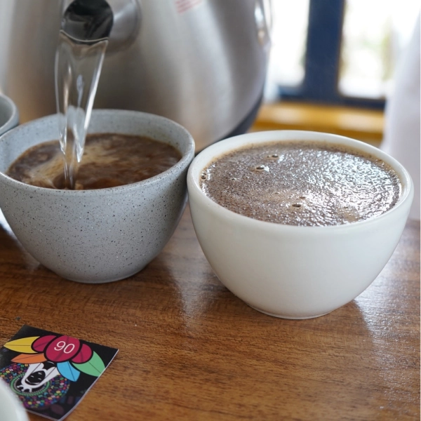 cata de café en campo hermoso
