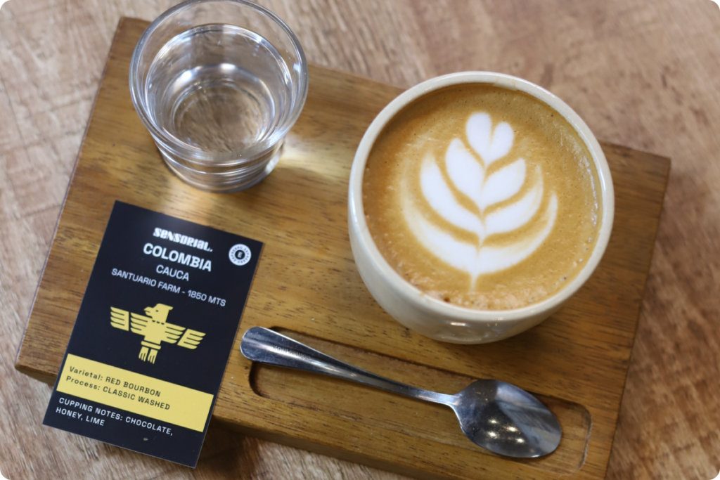 ¿Qué es el café tostado para filtro?