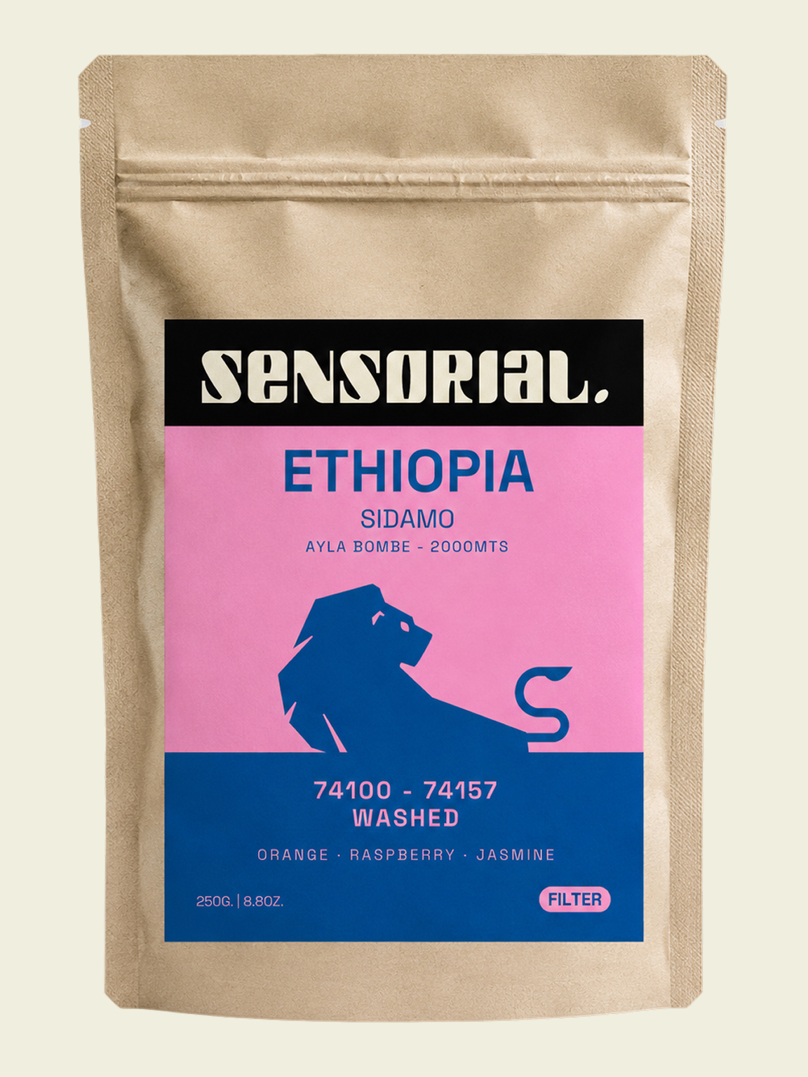 ethiopia sidamo
